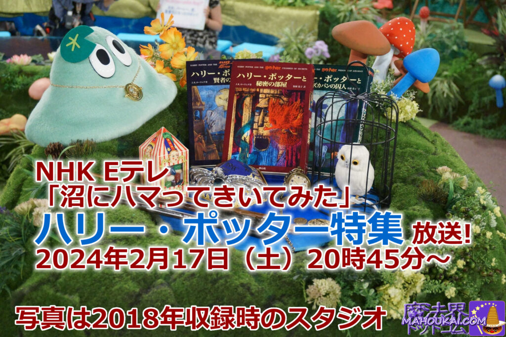 NHK ハリポタ特集「ハリーポッター沼」テレビ放送 2024年2月17日（土）20:45～「沼にハマってきいてみた」