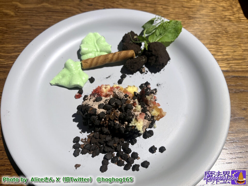 魔法植物「マンドレイク チョコレートトライフル」を食べる！ハリポタツアー東京の新スイーツ 2024年7月22日〜