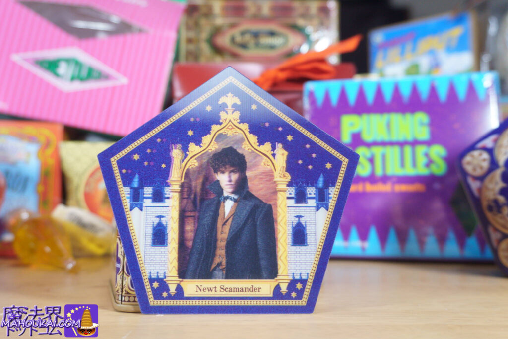 ニュート・スキャマンダー(Newt Scamander)はファンタビの魔法動物学者 蛙チョコレートのカード(Chocolate Frog Card)解説