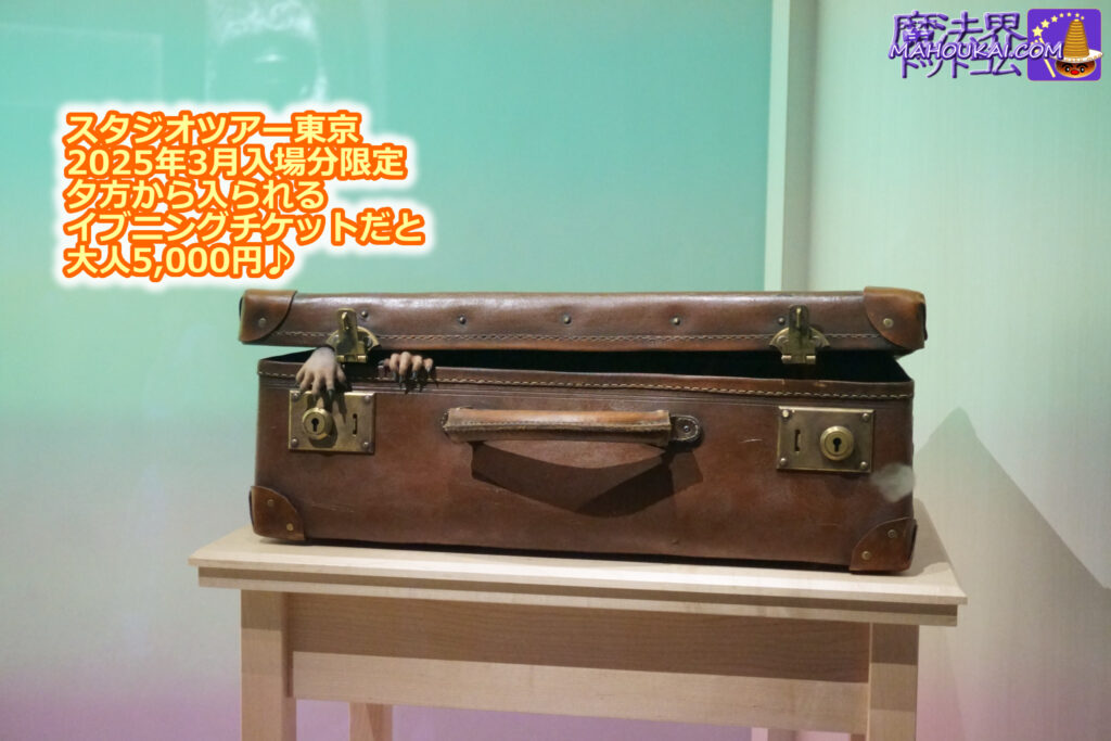 「ハリー・ポッター スタジオツアー東京」2025年3月【期間限定】 夕方入場チケットが5,000円！