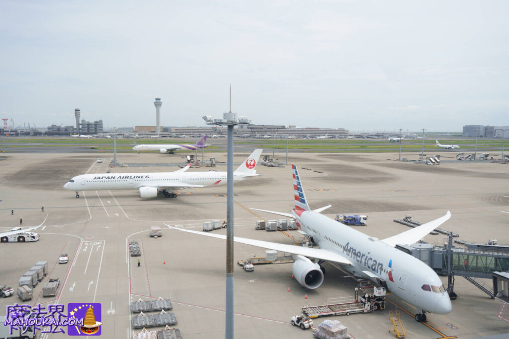羽田空港第三ターミナル5階 展望デッキ アメリカン航空機
