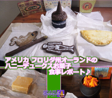 【食レポ】大鍋ケーキ、バタービールのファッジ、かぼちゃパイ、骸骨チョコレート、魔女トンガリ帽子カップケーキ、杖型チョコプレッツェル、イモリ生姜クッキー ハニーデュークス（米オーランド）