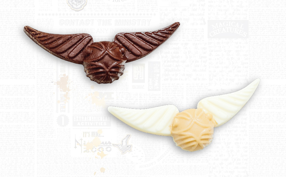 【新商品】ハリー・ポッター「金のスニッチ チョコレート」自作キット クィディッチ トランク付 2025年12月発売予定