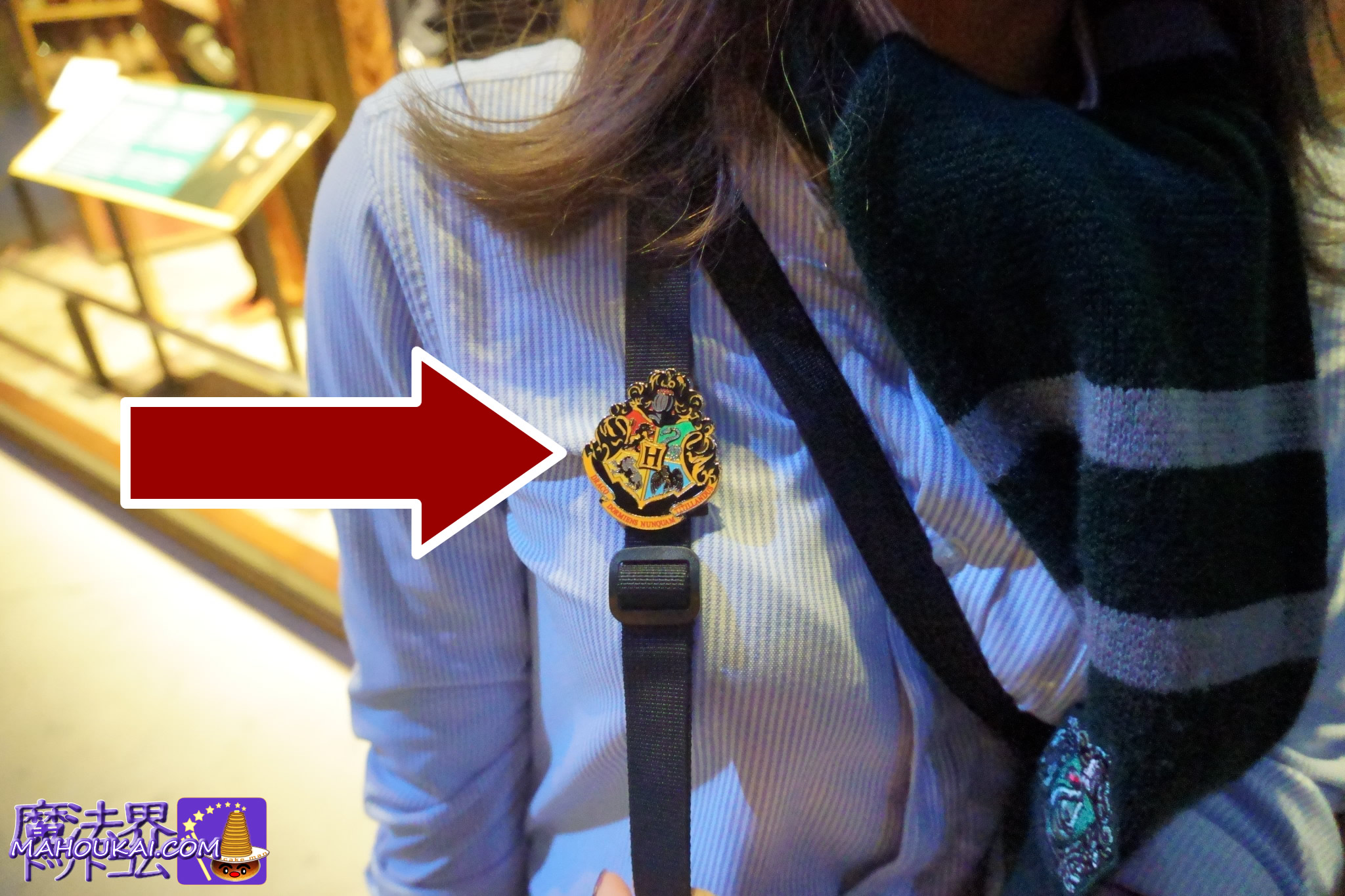 「ホグワーツ ハウスプライド」開催 ハリー・ポッター スタジオツアー東京 2026年1月17日（土）～3月15日（日）体験追記！