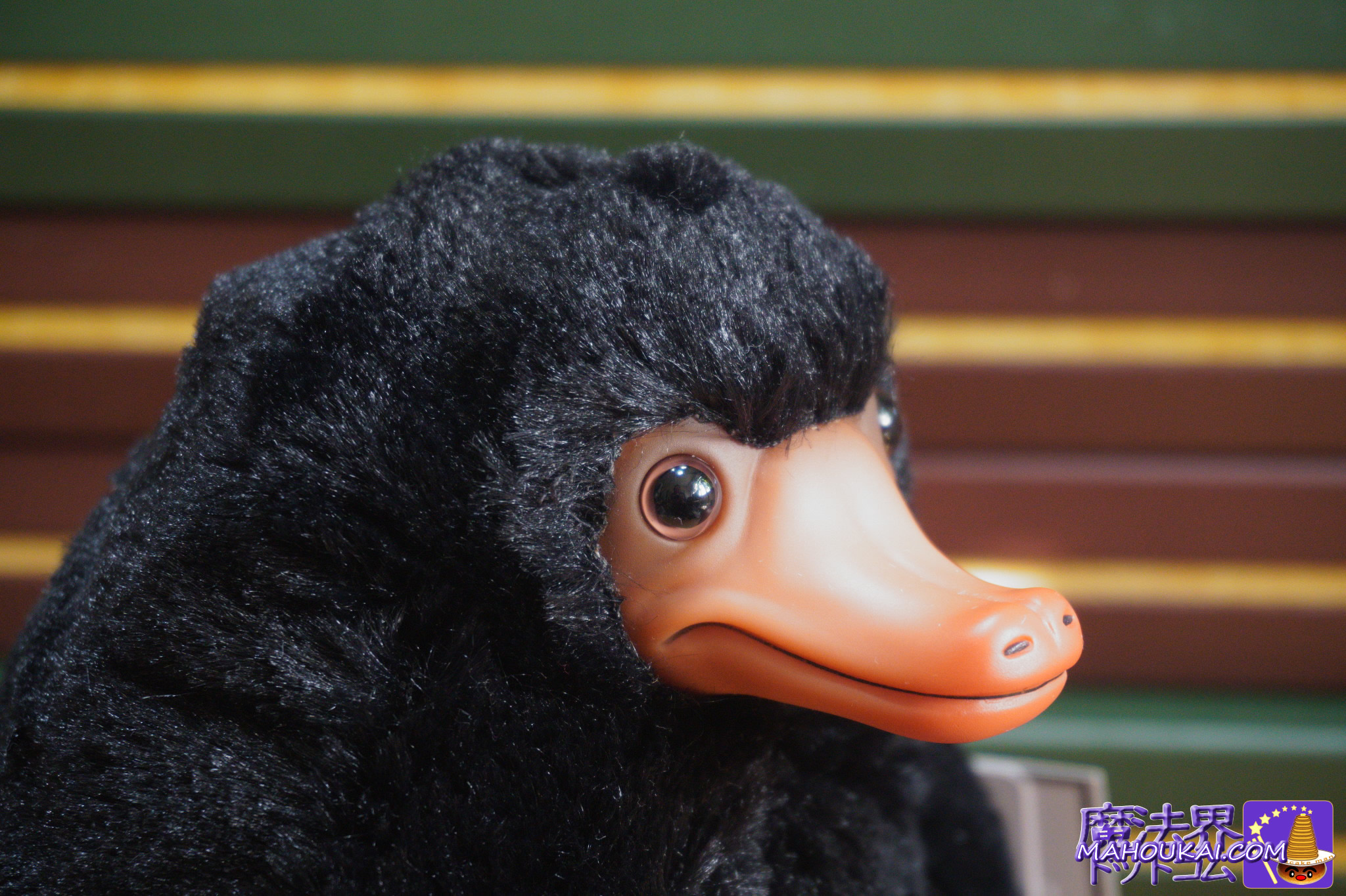 リアル可愛いニフラーぬいぐるみ(ぬいフィギュ)購入レポート 2025年12月