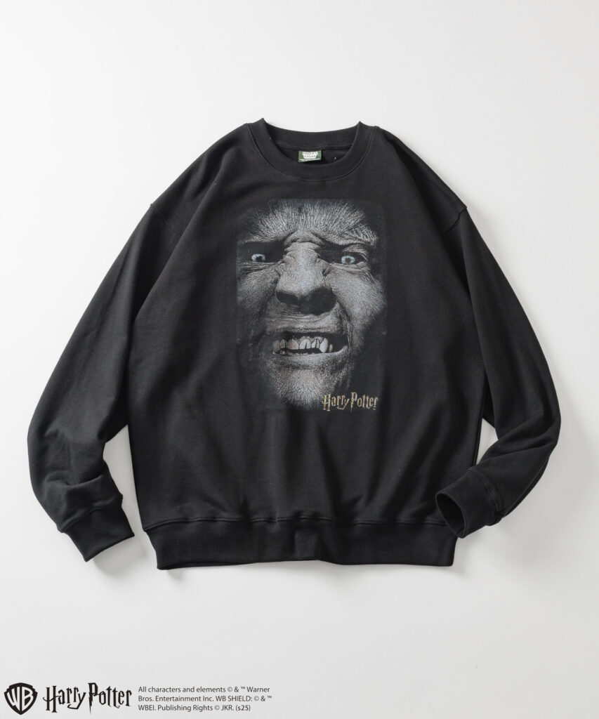 FREAK'S STORE(フリークス ストア)×ハリー・ポッター 8キャラクター スウェット発売!2025年12月2日(火)~