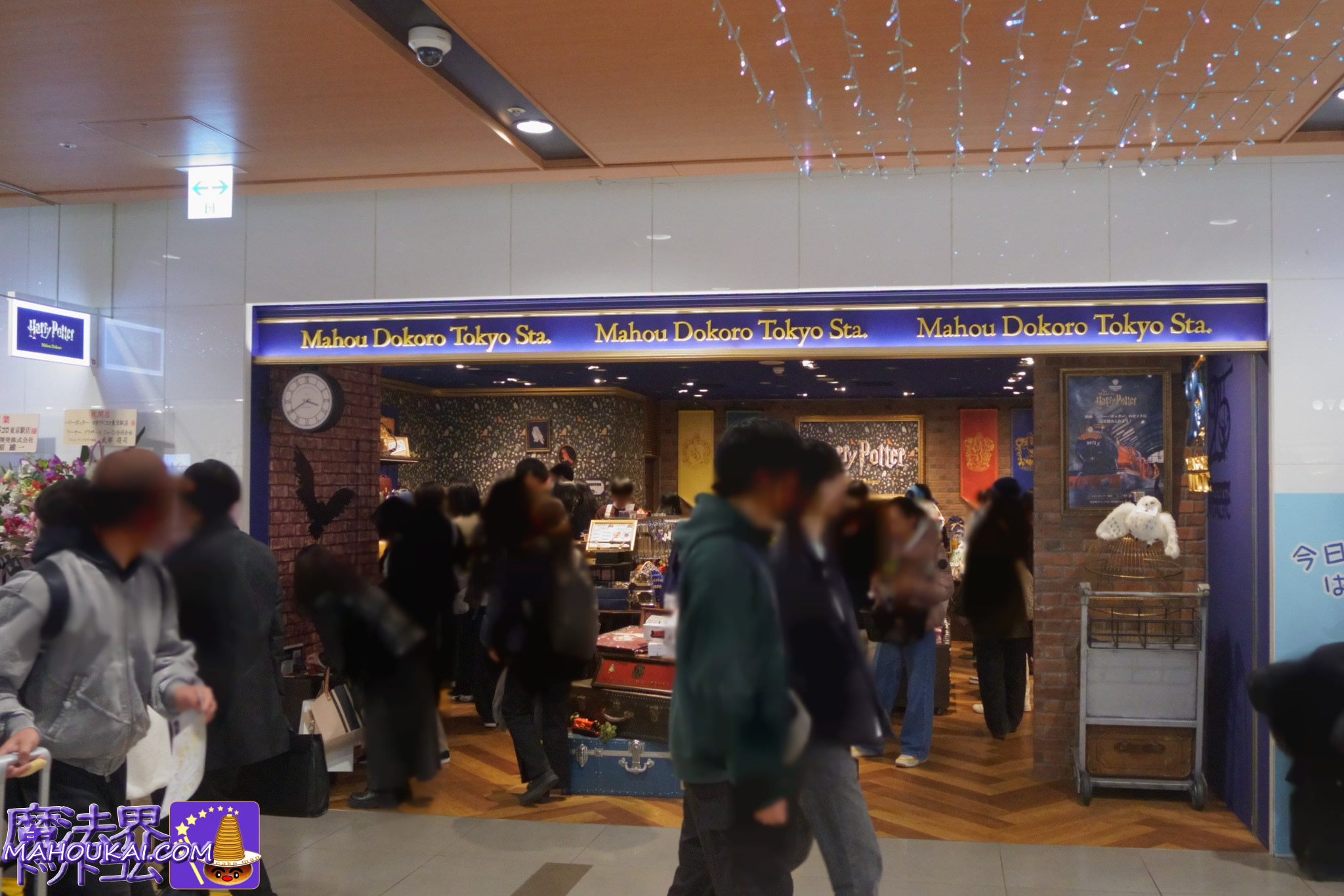 店舗正面の写真「ハリー・ポッター マホウドコロ」東京駅一番街(常設店) 2026年2月19日(木)オープン!