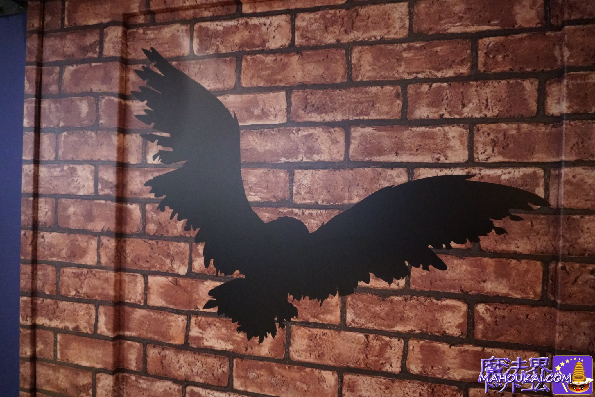 【隠れスポット】ヘドウィグの影絵「ハリー・ポッター マホウドコロ」東京駅一番街(常設店) 2026年2月19日(木)オープン!