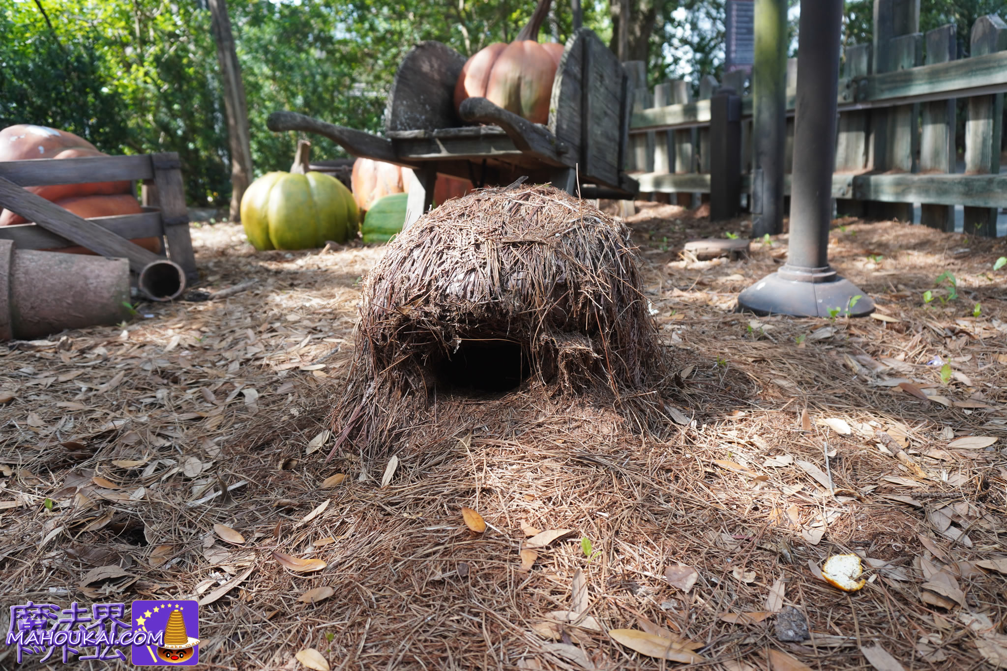 ハグリッドのマジカル・クリーチャー・モーターバイク・アドベンチャー（超ジェットコースター）アメリカ オーランド ハリー・ポッター エリア