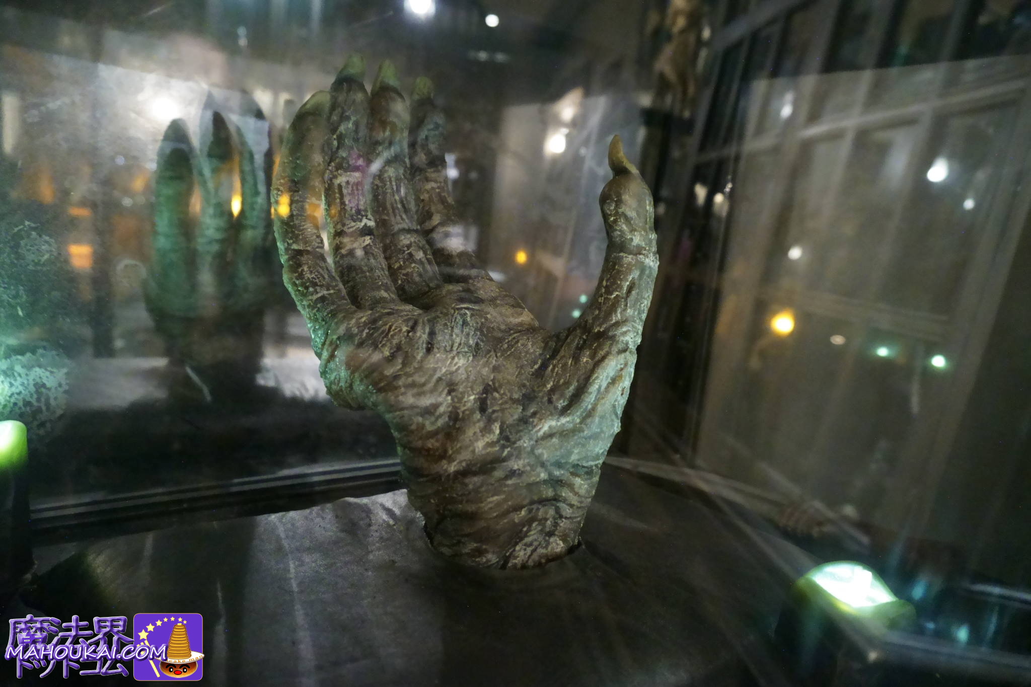 ボージン・アンド・バークス｜ダイアゴン横丁 ユニバーサル・スタジオ・フロリダ