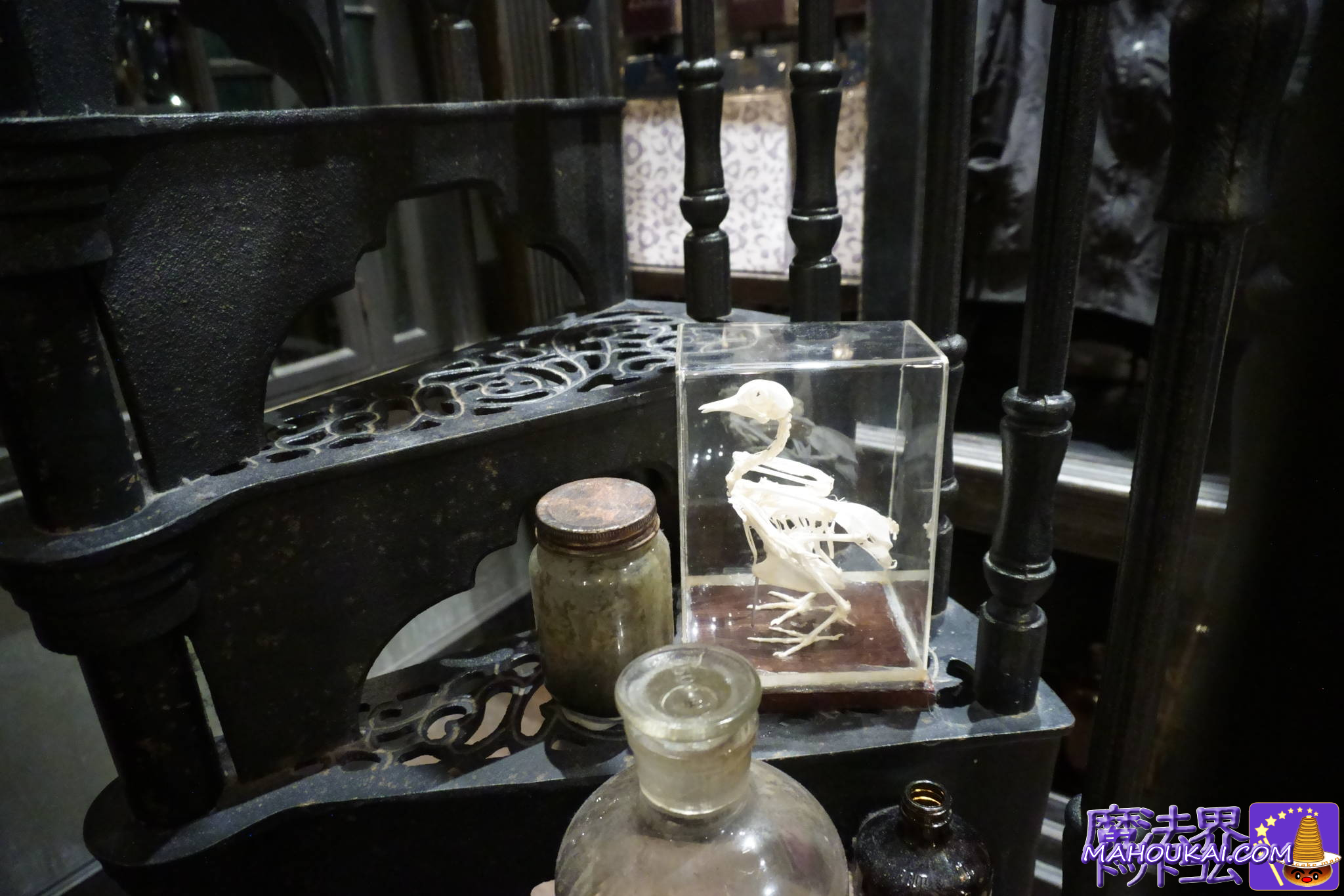 ボージン・アンド・バークス｜ダイアゴン横丁 ユニバーサル・スタジオ・フロリダ