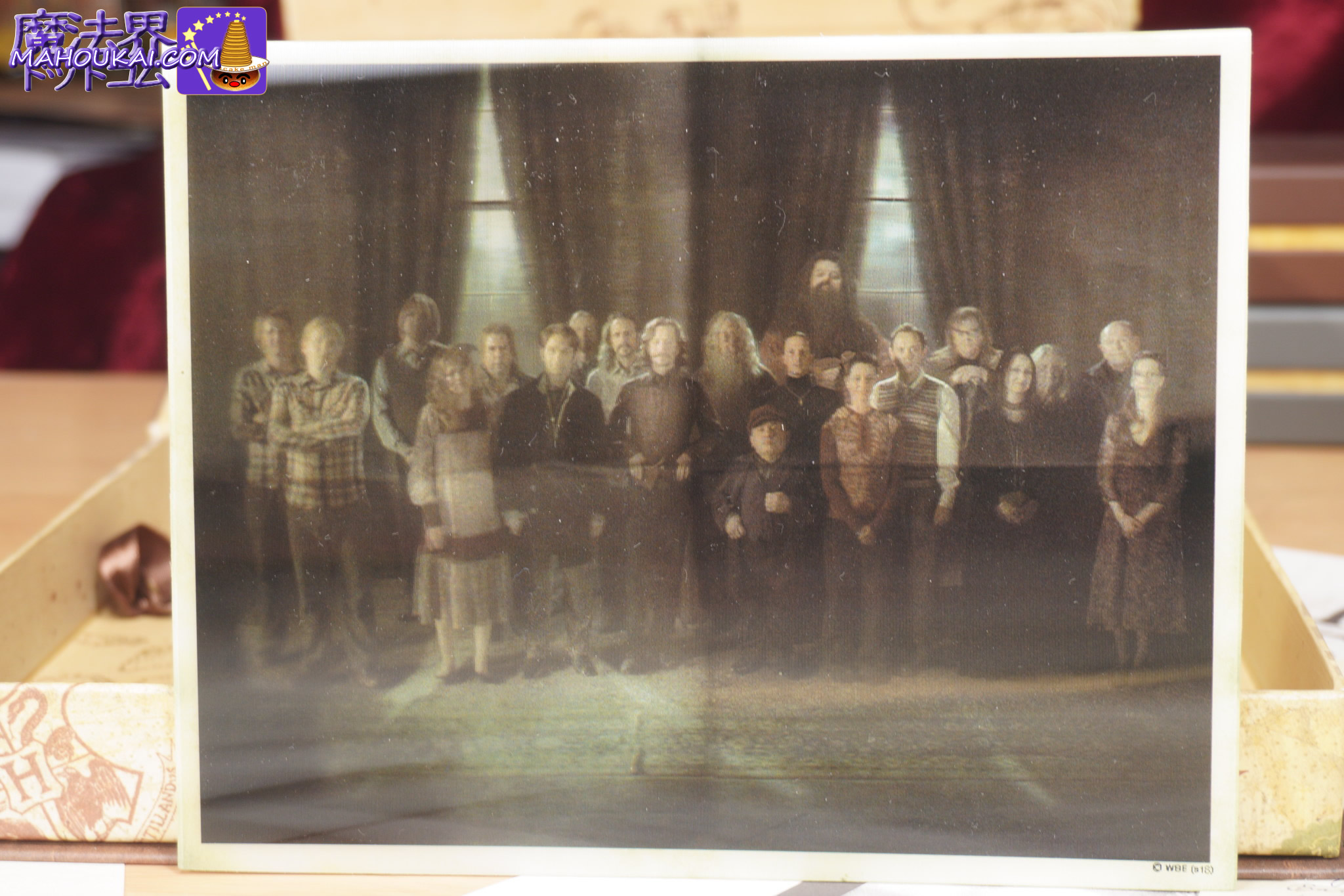 不死鳥の騎士団の集合写真 ハリー・ポッター コレクションBOX グッズ紹介!ノーブルコレクション