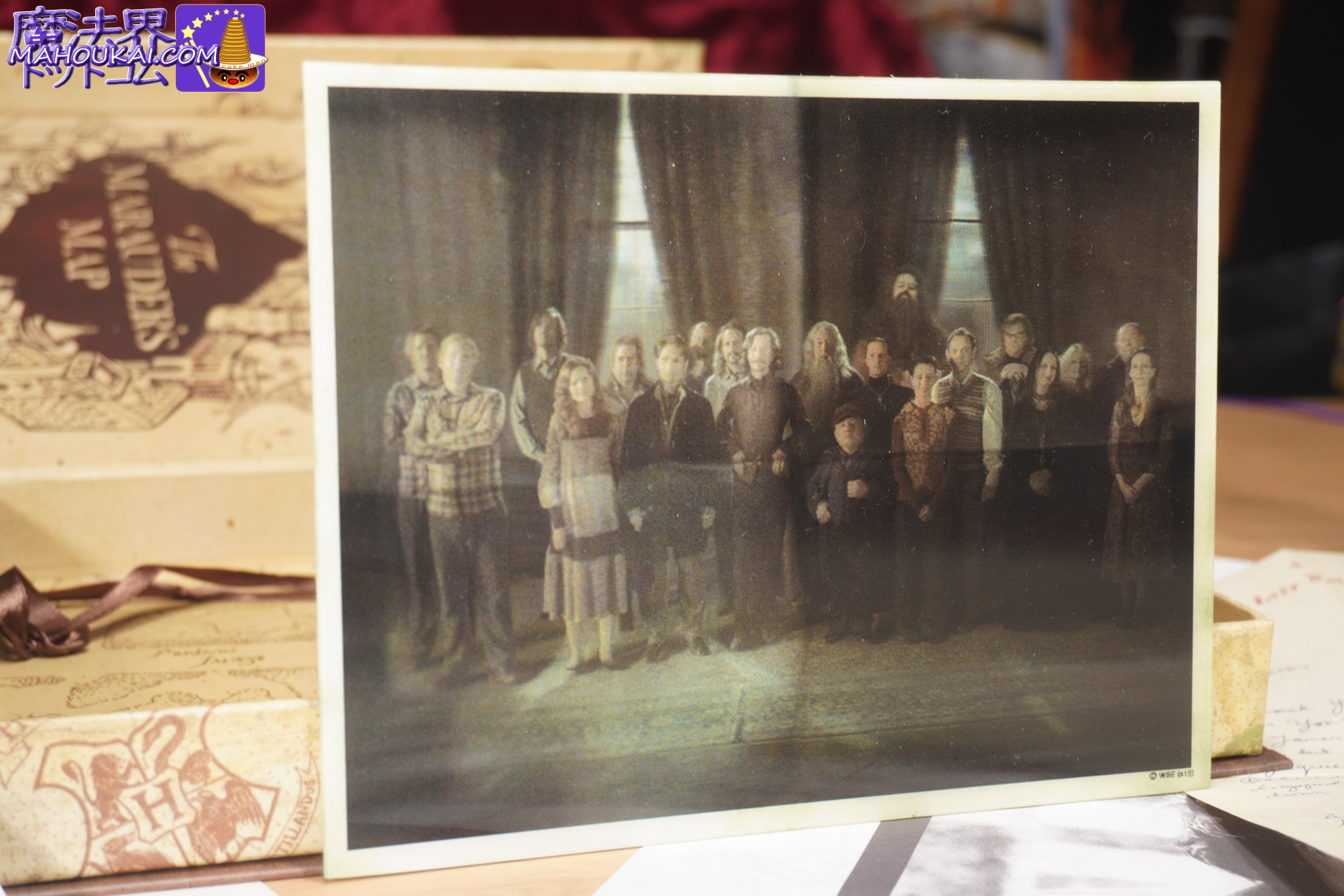 不死鳥の騎士団の集合写真 ハリー・ポッター コレクションBOX グッズ紹介!ノーブルコレクション