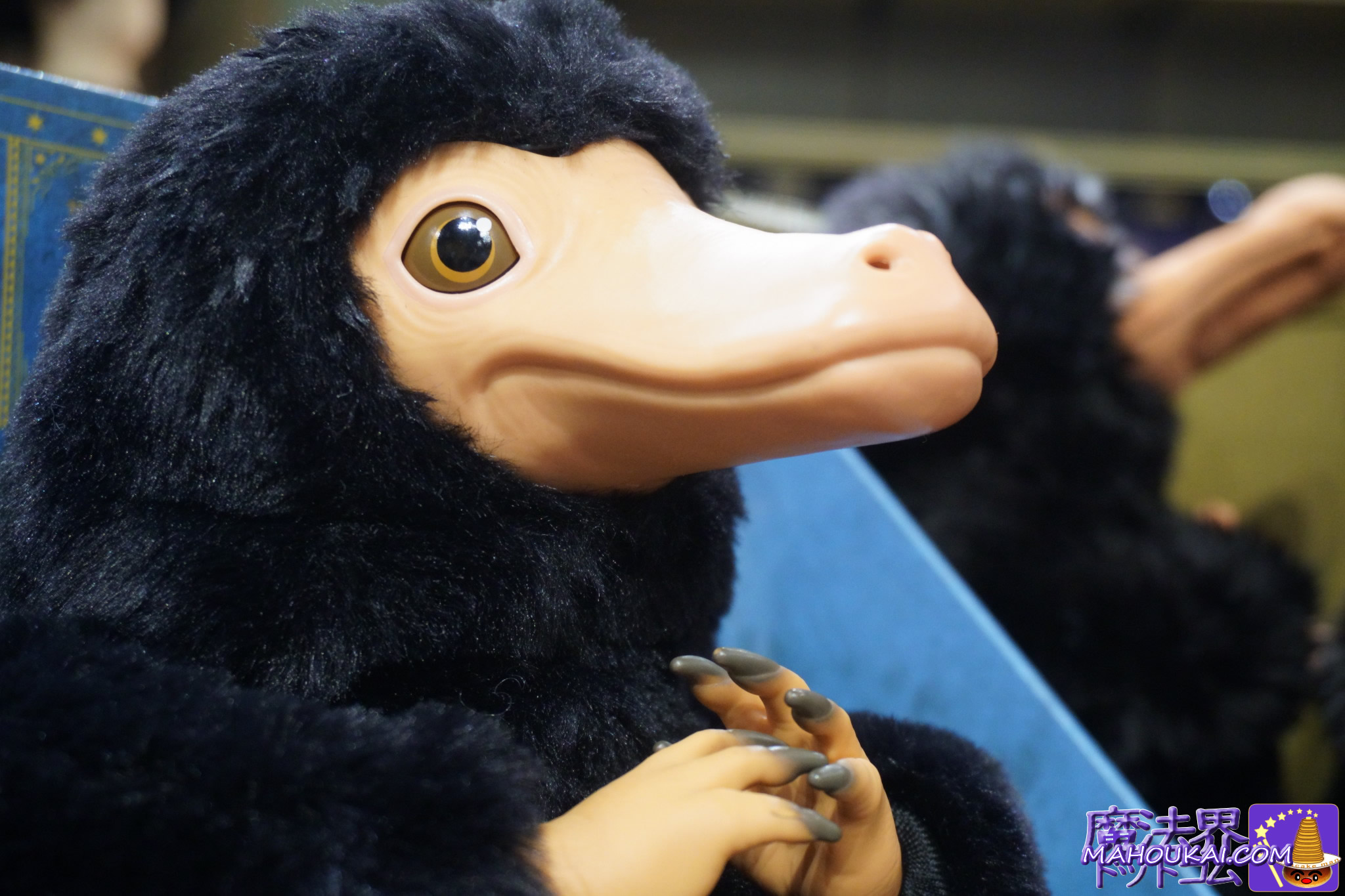 顔アップ写真【USJ新商品】鳴く動く大人ニフラーぬいぐるみ ガリオン金貨付 etc「ハリー・ポッター エリア」2026年2月