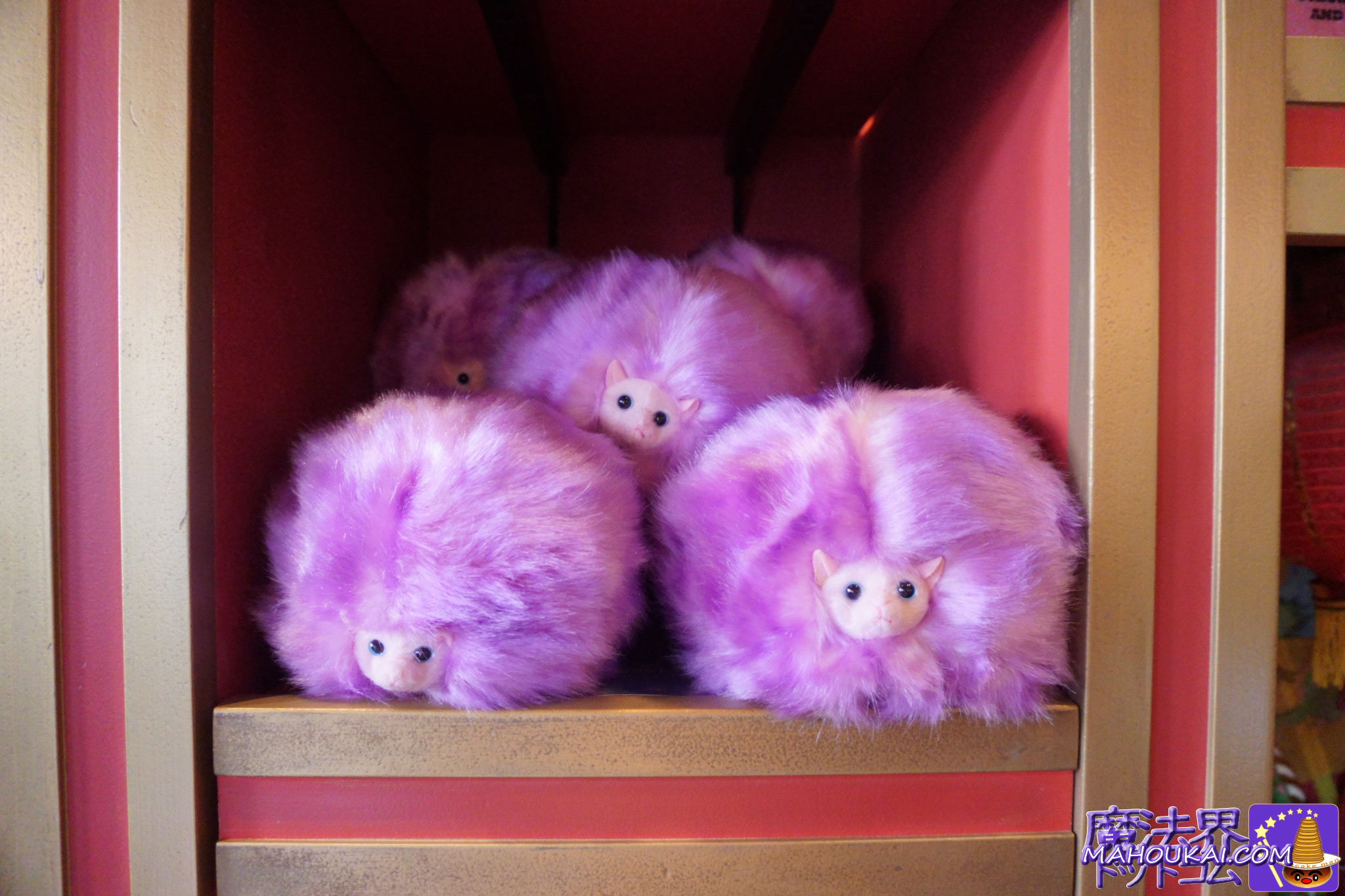 棚に並ぶ鳴くピグミーパフぬいぐるみ（紫）【USJ新商品】鳴く動く大人ニフラーぬいぐるみ ガリオン金貨付 etc「ハリー・ポッター エリア」2026年2月