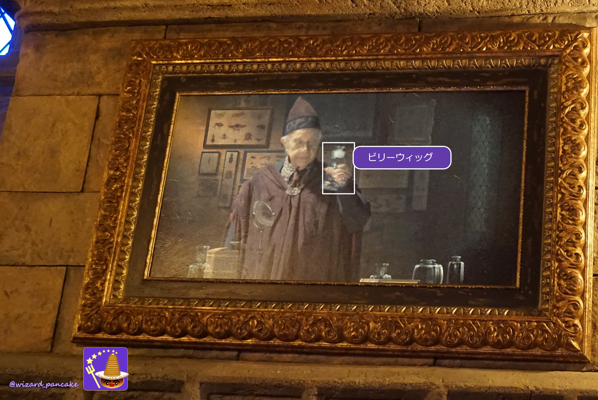 The magical creature Billy Wig from Fantaboby is at Hogwarts Castle! Hogwarts Castle Walk (USJ 'Harry Potter Area')