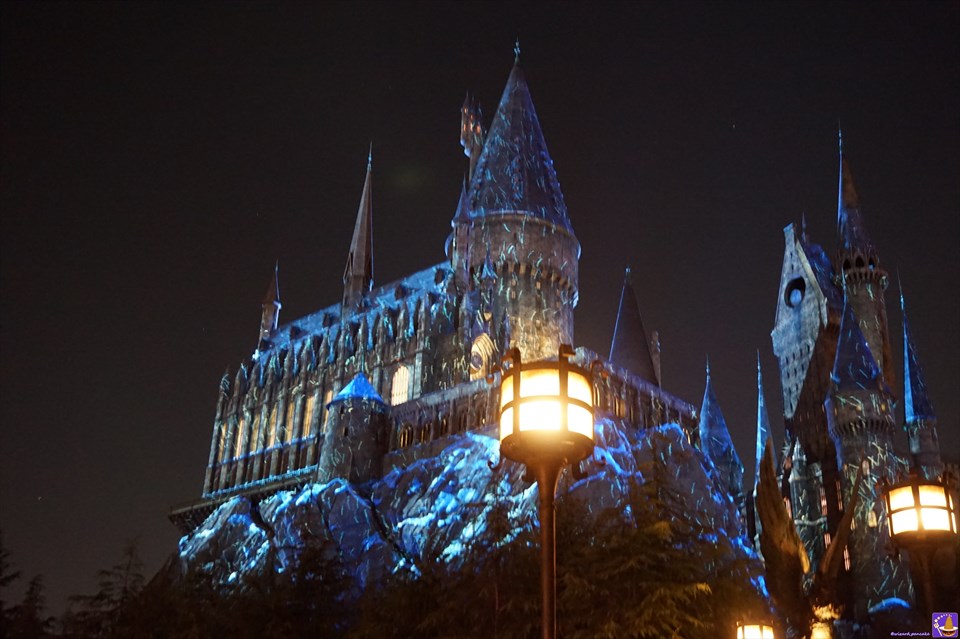 'Hogwarts Magical Night - Winter Magic' night show super explanation (with spoilers) Harry Potter scenes & spells and more (USJ Harriotta) Wizard Pancake Man Dumbledore.